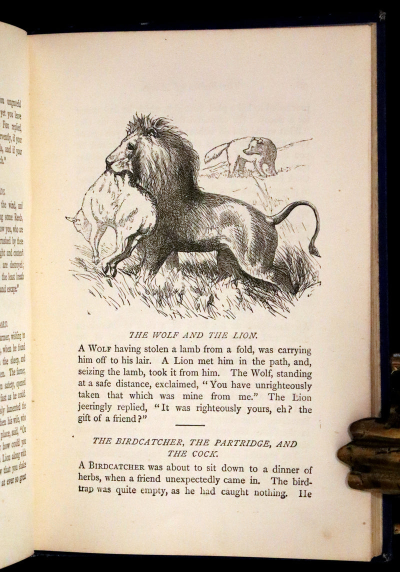 1875 Rare Book - Three Hundred Aesop's Fables beautifully Illustrated by Harrison Weir.