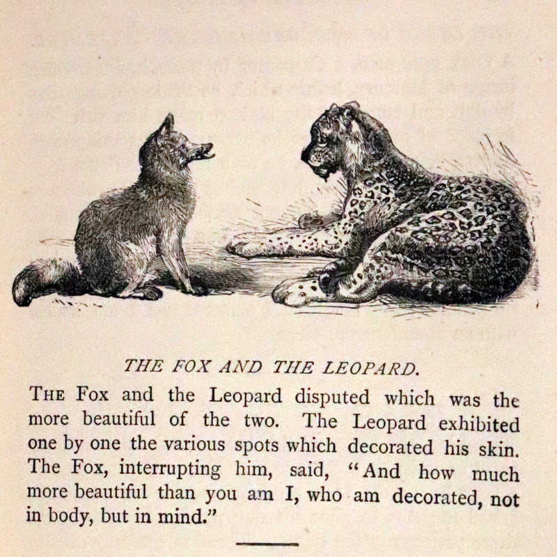 1875 Rare Book - Three Hundred Aesop's Fables beautifully Illustrated by Harrison Weir.