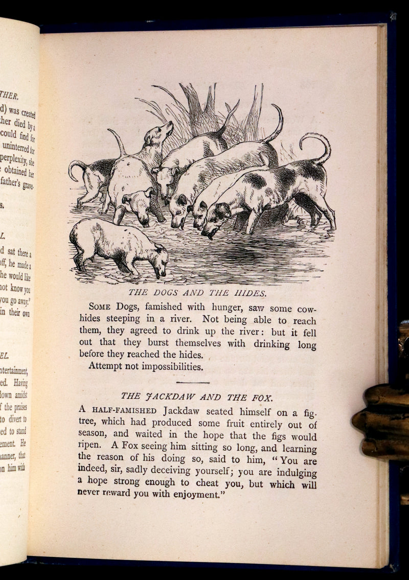 1875 Rare Book - Three Hundred Aesop's Fables beautifully Illustrated by Harrison Weir.