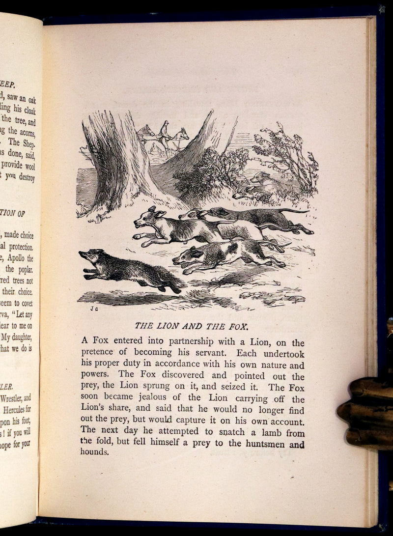 1875 Rare Book - Three Hundred Aesop's Fables beautifully Illustrated by Harrison Weir.