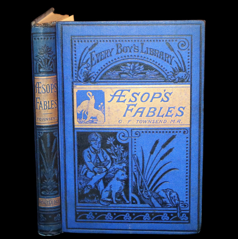 1875 Rare Book - Three Hundred Aesop's Fables beautifully Illustrated by Harrison Weir.