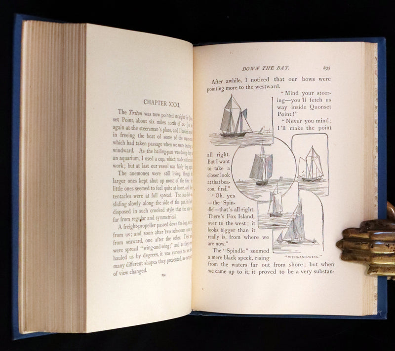 1890 Rare First Edition - Down the Bay or Joe and I on Salt Water, Illustrated.