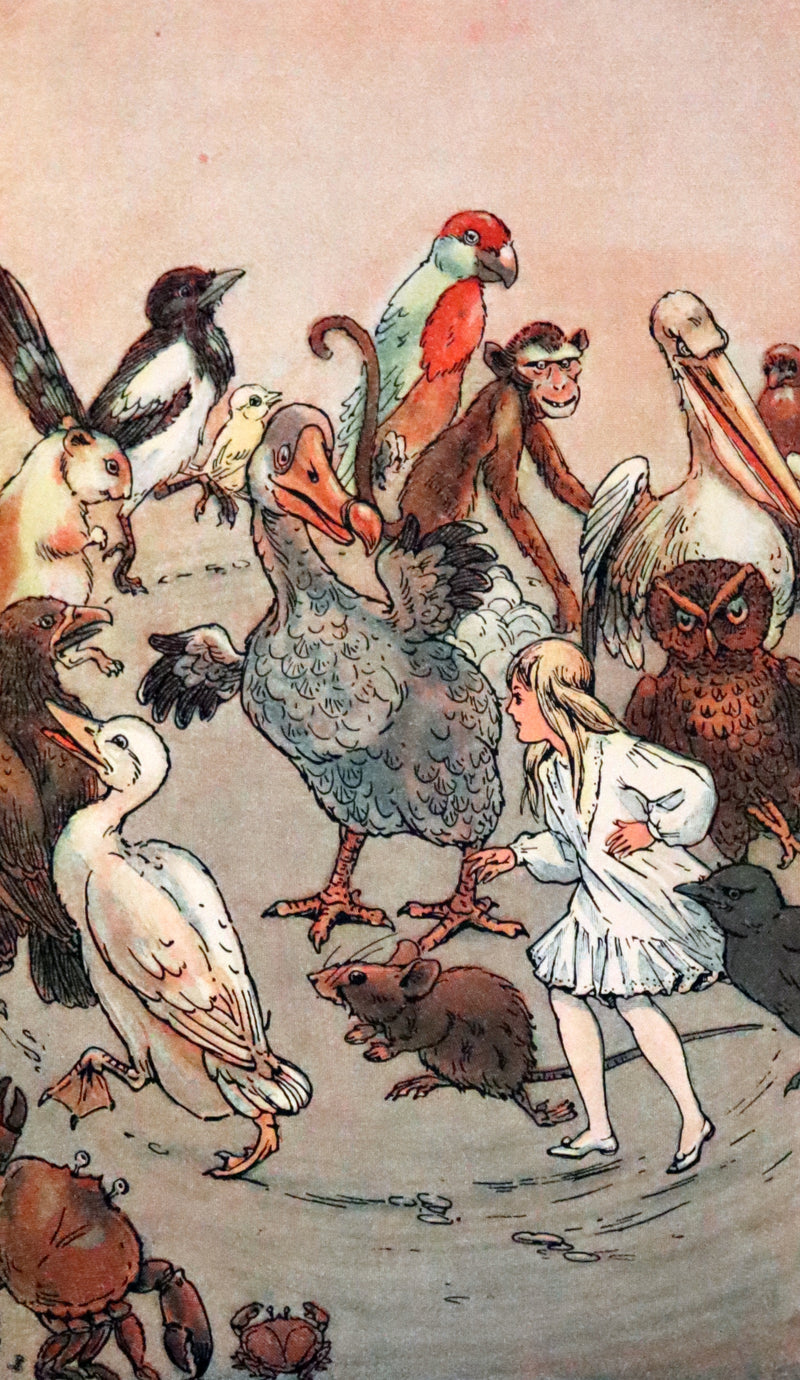 1925 Rare Edition with Dust Jacket - Alice's Adventures in Wonderland Illustrated by William Henry Walker.