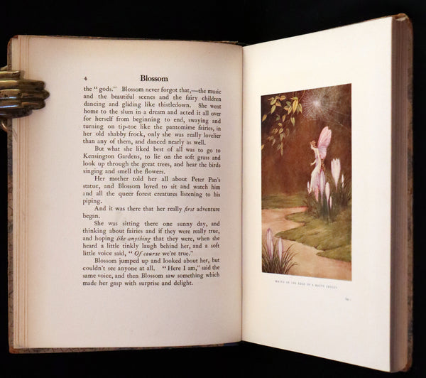 1928 Rare First Edition ~ Blossom A Fairy Story by Ida Rentoul Outhwaite, Color illustrated.