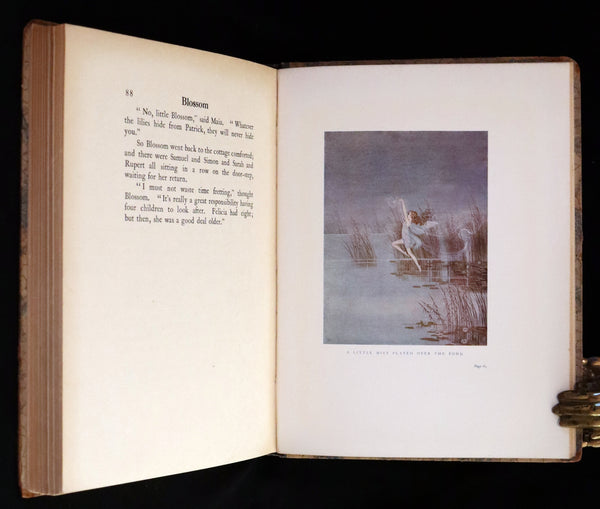 1928 Rare First Edition ~ Blossom A Fairy Story by Ida Rentoul Outhwaite, Color illustrated.