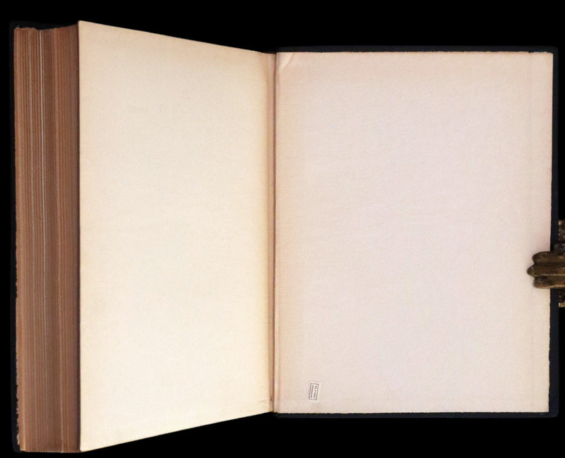 1919 Rare Book - Joan of Arc, The Warrior Maid Illustrated by Frank E. Schoonover.