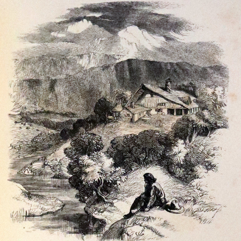 1860 Rare First Edition -  Poems of James Montgomery illustrated by John Gilbert, J. Wolf, Birket Foster, Etc.