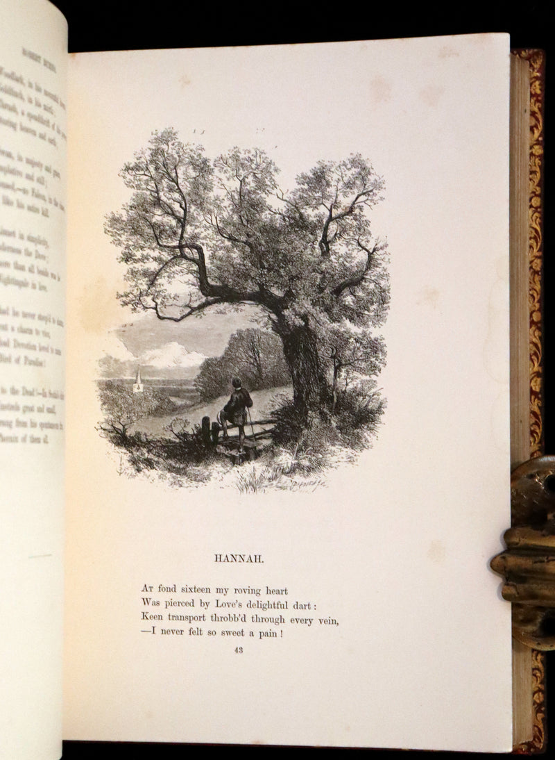 1860 Rare First Edition -  Poems of James Montgomery illustrated by John Gilbert, J. Wolf, Birket Foster, Etc.