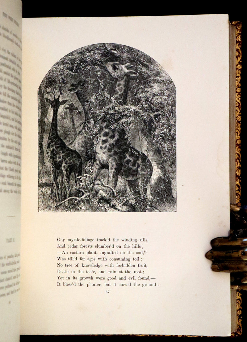 1860 Rare First Edition -  Poems of James Montgomery illustrated by John Gilbert, J. Wolf, Birket Foster, Etc.