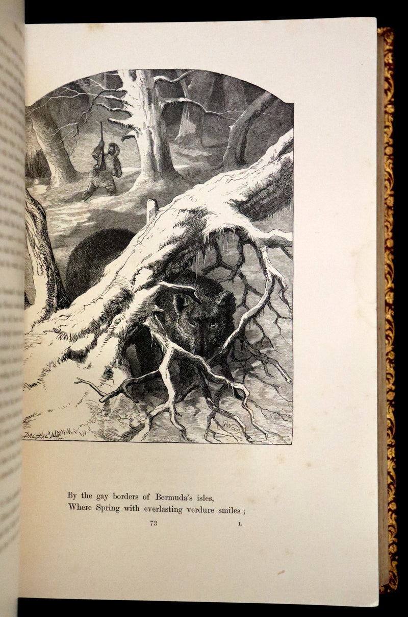 1860 Rare First Edition -  Poems of James Montgomery illustrated by John Gilbert, J. Wolf, Birket Foster, Etc.