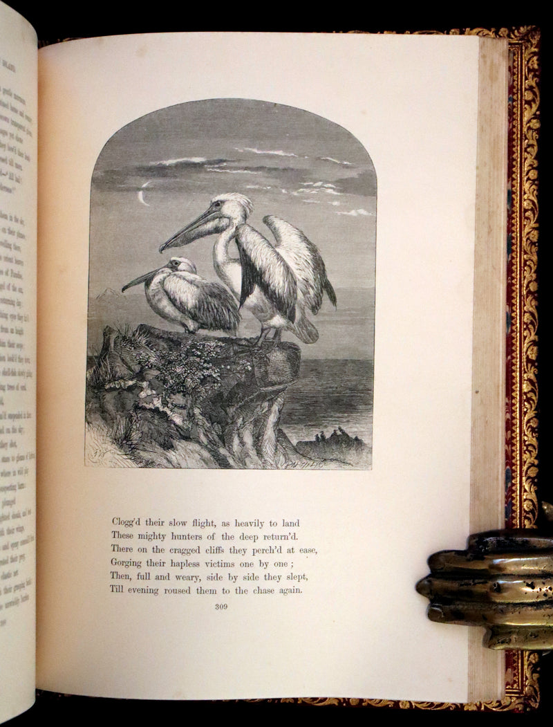 1860 Rare First Edition -  Poems of James Montgomery illustrated by John Gilbert, J. Wolf, Birket Foster, Etc.