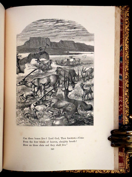 1860 Rare First Edition -  Poems of James Montgomery illustrated by John Gilbert, J. Wolf, Birket Foster, Etc.