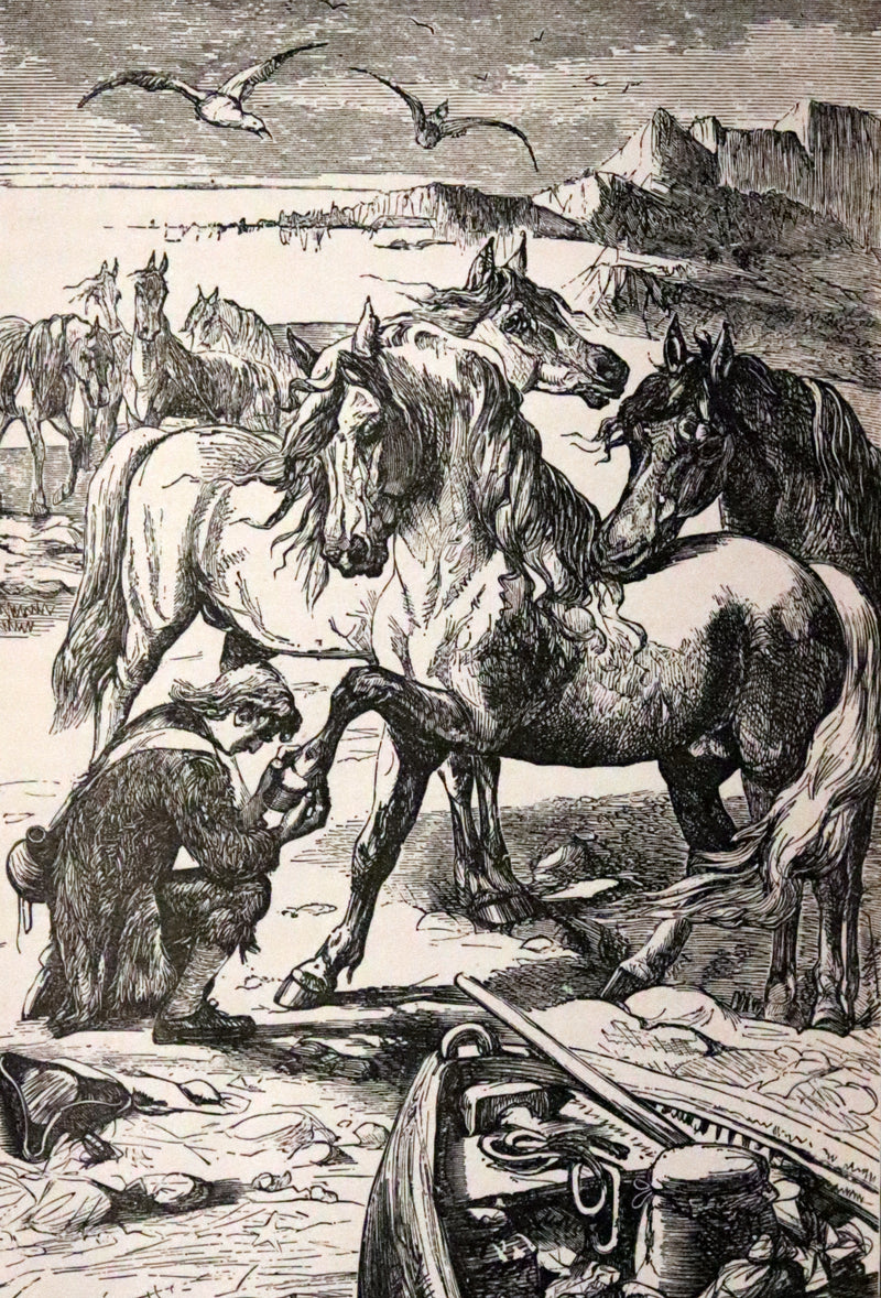 1880 Rare Book - Gulliver's Travels Into Several Remote Nations of the World & Baron Munchausen, Illustrated.