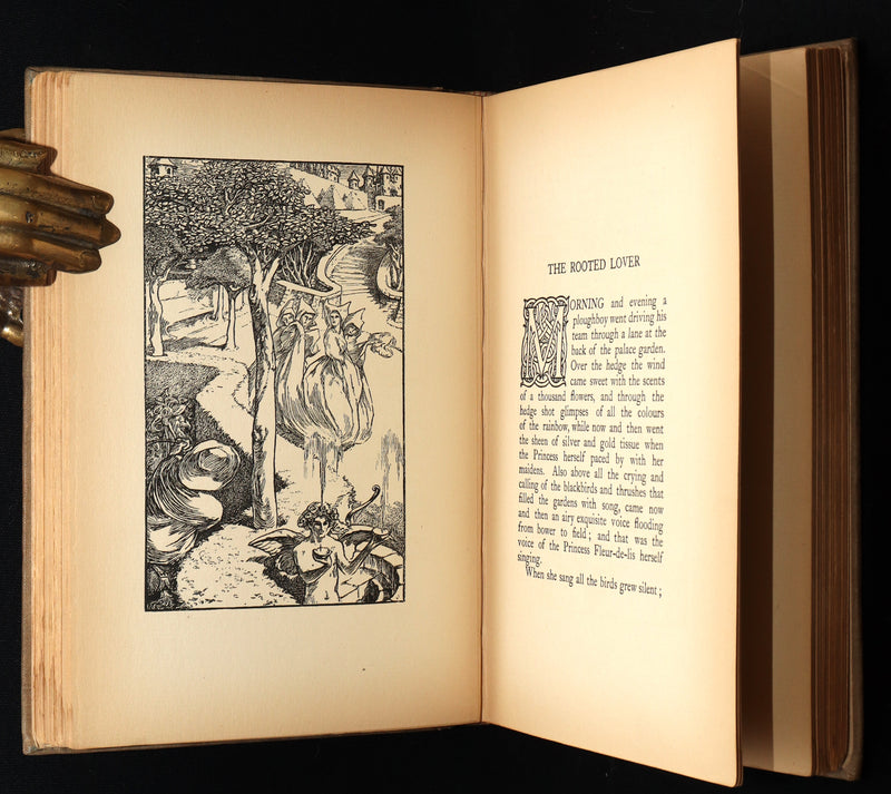 1894 Rare First Edition - A Farm in Fairyland by Laurence Housman, Illustrated