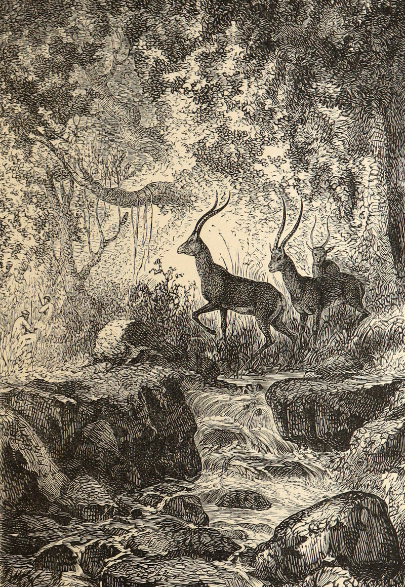 1887 Rare Early Edition - Five Weeks in a Balloon by Jules Verne, Illustrated