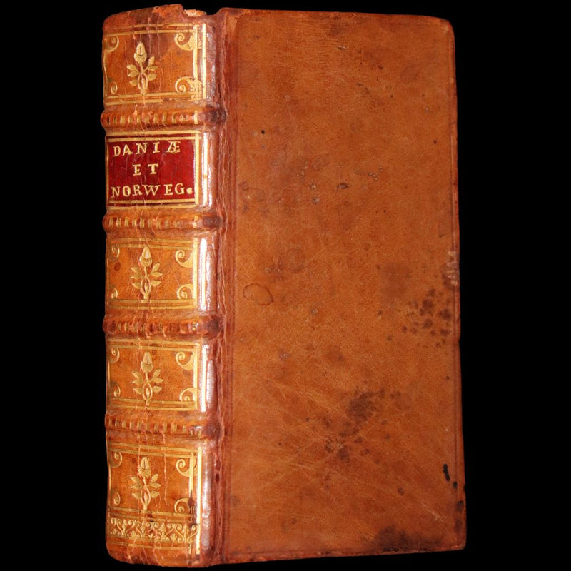 1629 Rare Latin First Edition - Of the Kingdom of Denmark and Norway by Stephanius.