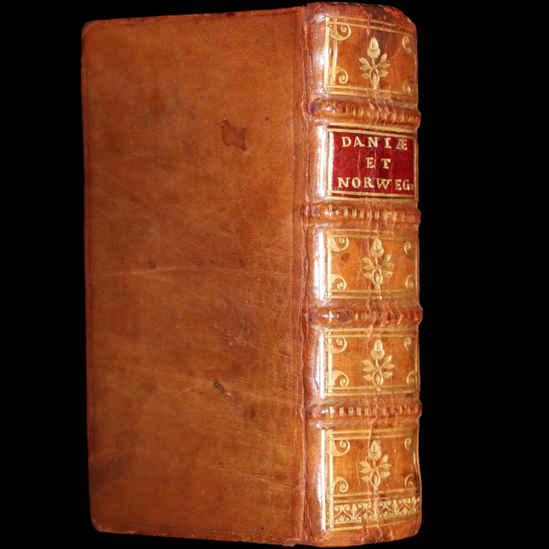 1629 Rare Latin First Edition - Of the Kingdom of Denmark and Norway by Stephanius.