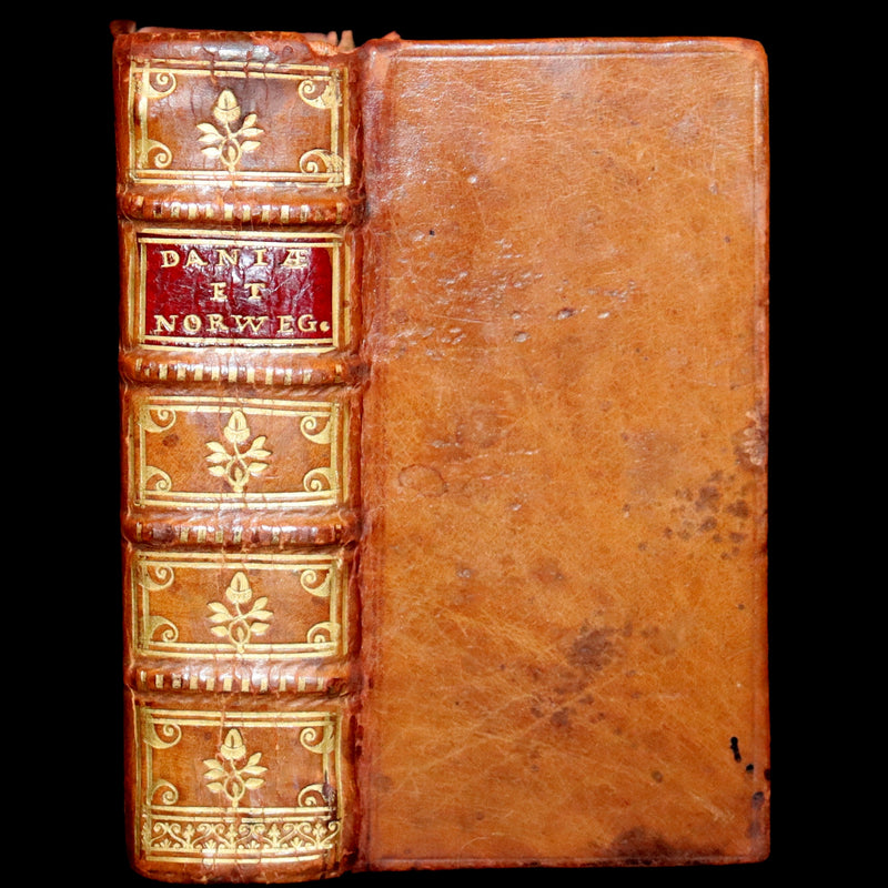 1629 Rare Latin First Edition - Of the Kingdom of Denmark and Norway by Stephanius.