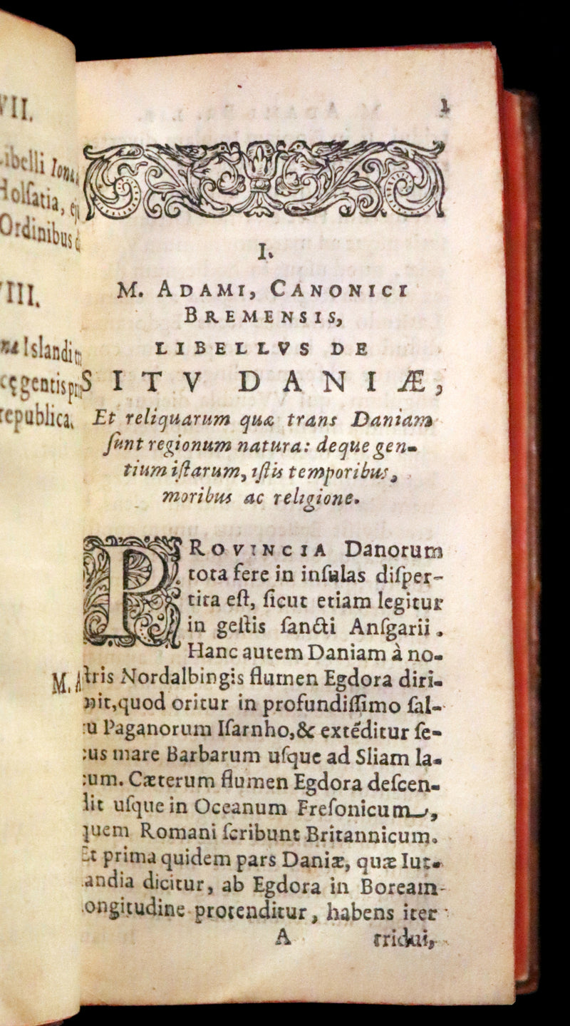 1629 Rare Latin First Edition - Of the Kingdom of Denmark and Norway by Stephanius.