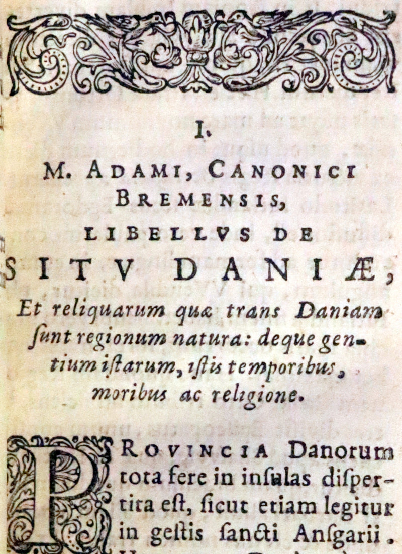 1629 Rare Latin First Edition - Of the Kingdom of Denmark and Norway by Stephanius.