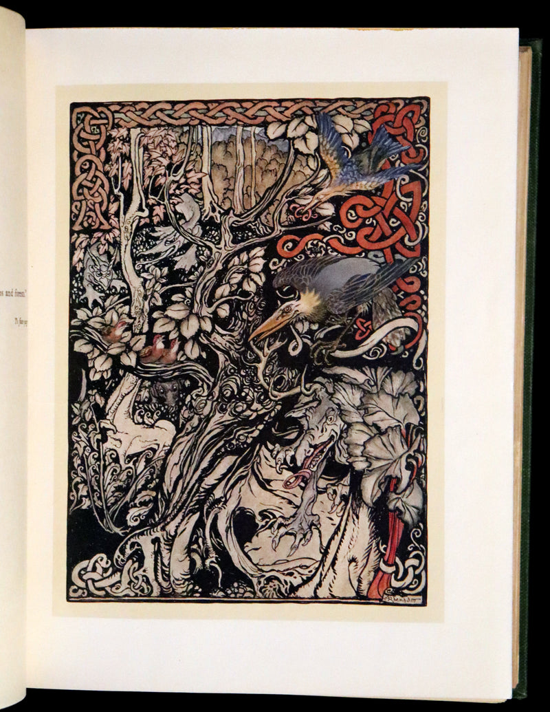 1920 Rare First Edition - Irish fairy Tales by James Stephens illustrated by Arthur Rackham.