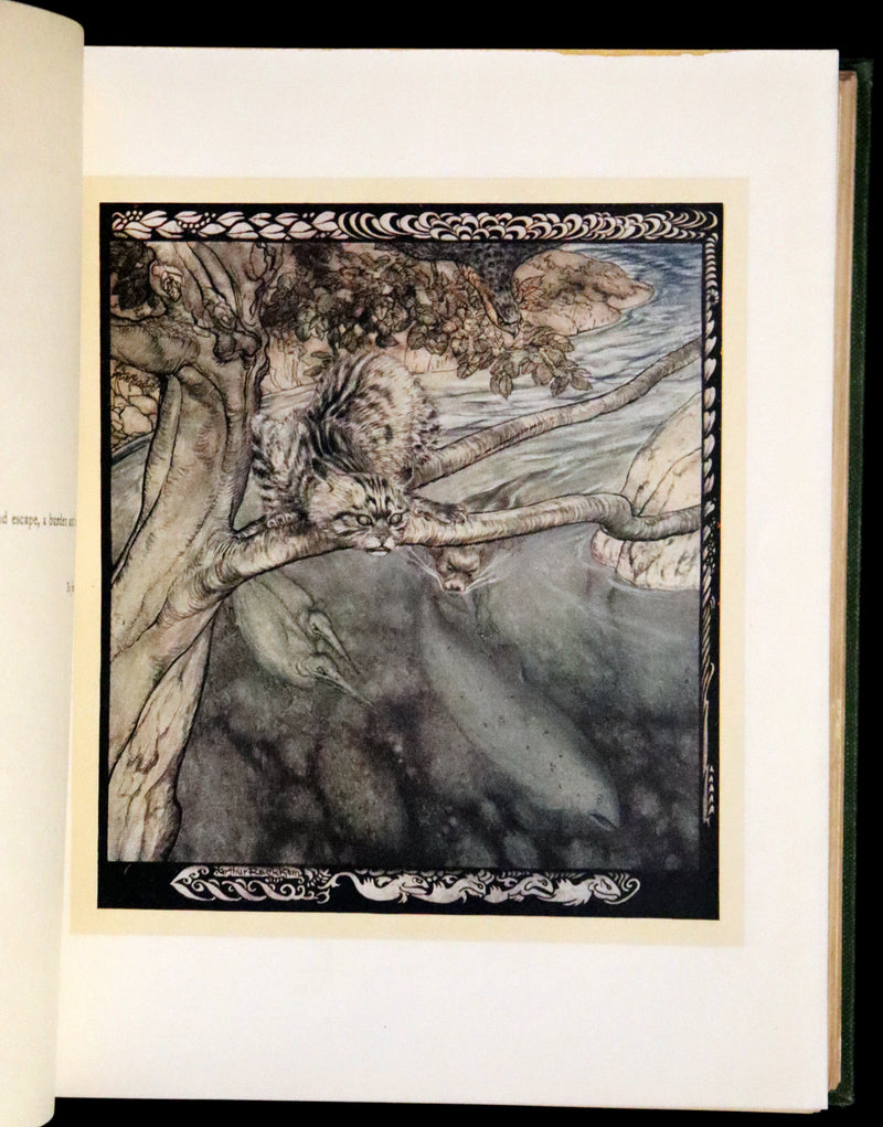 1920 Rare First Edition - Irish fairy Tales by James Stephens illustrated by Arthur Rackham.