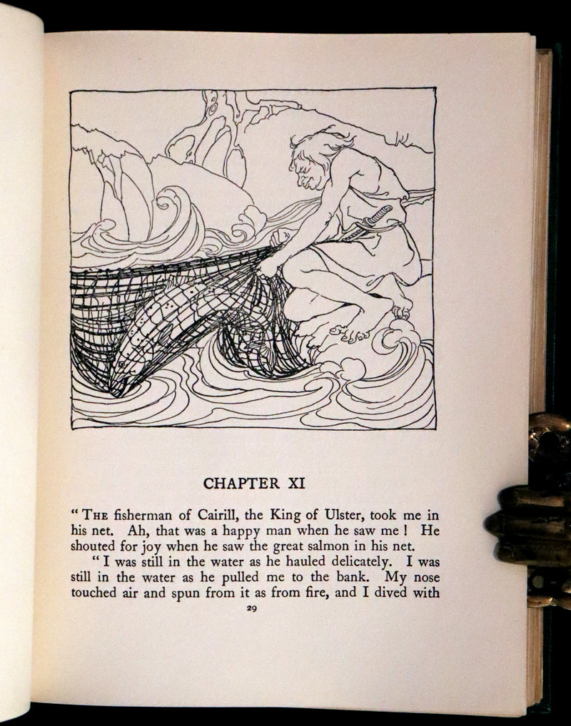 1920 Rare First Edition - Irish fairy Tales by James Stephens illustrated by Arthur Rackham.