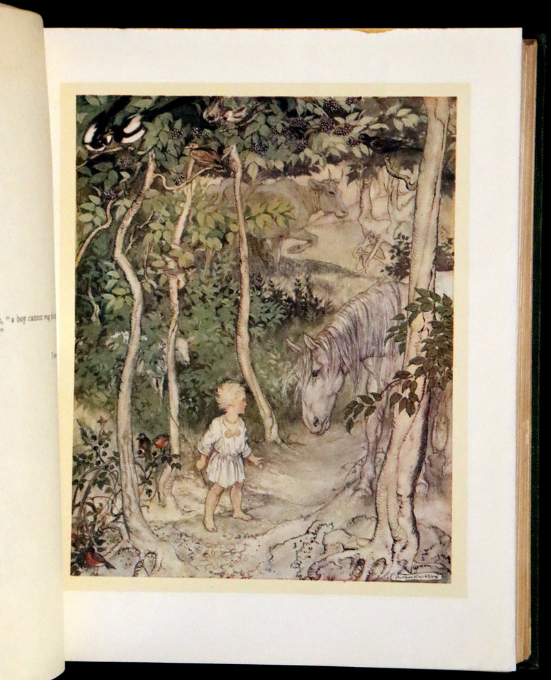 1920 Rare First Edition - Irish fairy Tales by James Stephens illustrated by Arthur Rackham.