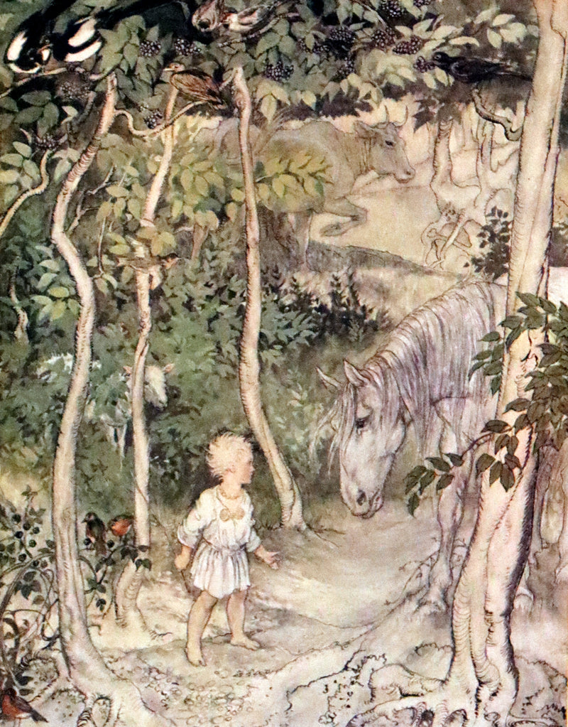 1920 Rare First Edition - Irish fairy Tales by James Stephens illustrated by Arthur Rackham.