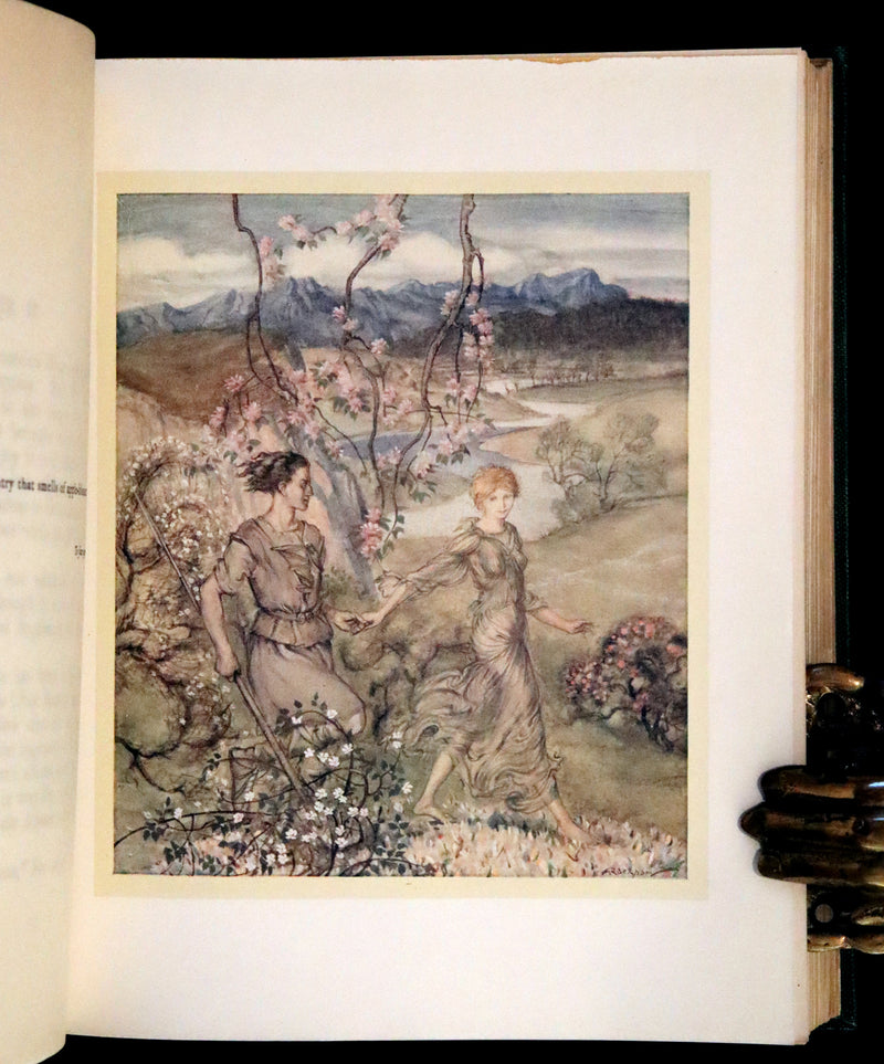 1920 Rare First Edition - Irish fairy Tales by James Stephens illustrated by Arthur Rackham.