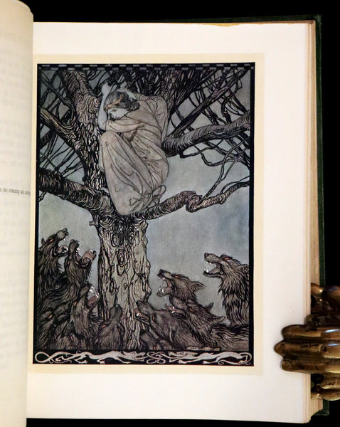 1920 Rare First Edition - Irish fairy Tales by James Stephens illustrated by Arthur Rackham.