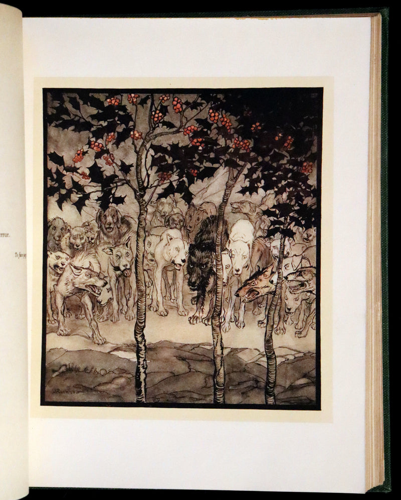 1920 Rare First Edition - Irish fairy Tales by James Stephens illustrated by Arthur Rackham.