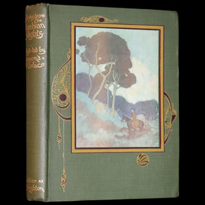 1919 Rare Binding - Stories from the Arabian Nights by Laurence Housman. Illustrated by Edmund Dulac.