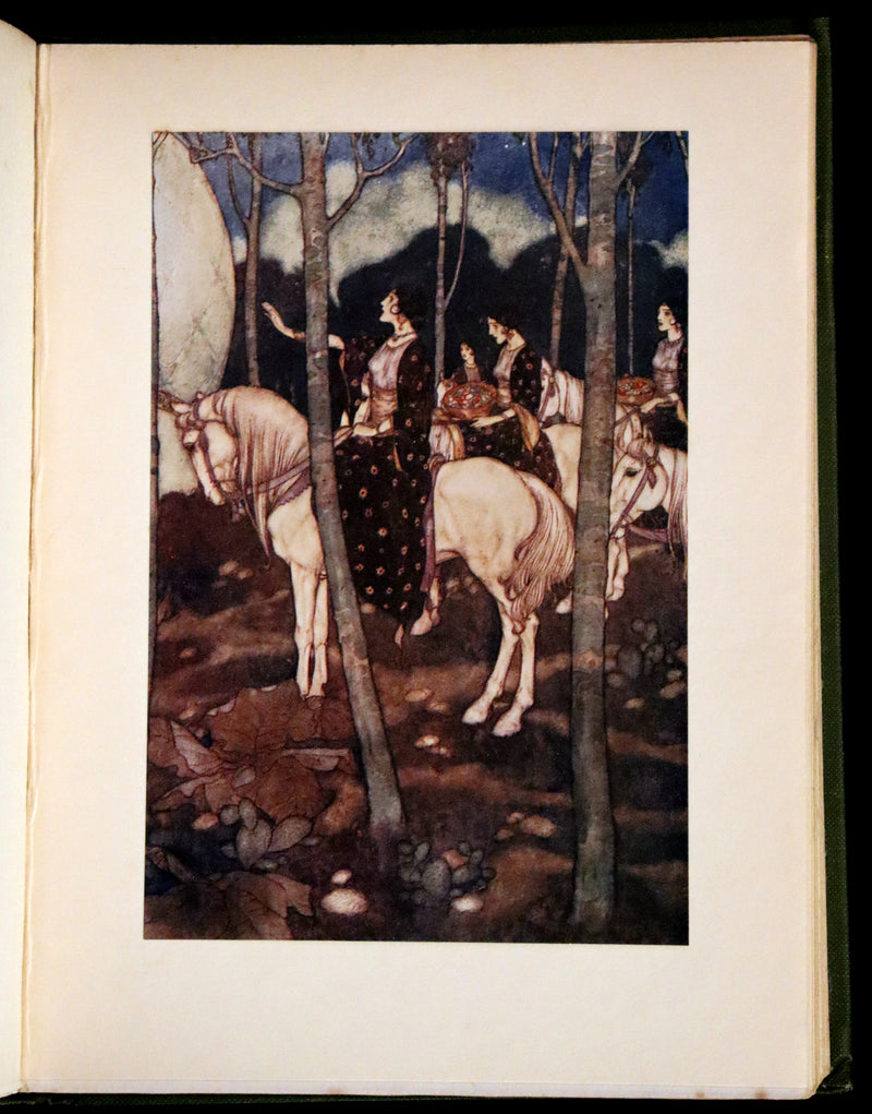 1919 Rare Binding - Stories from the Arabian Nights by Laurence Housman. Illustrated by Edmund Dulac.