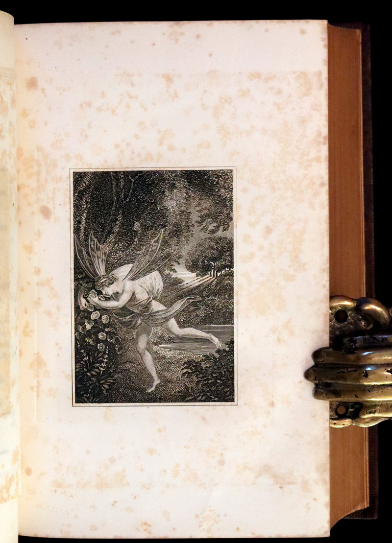 1880 Rare Victorian Book ~ The Poetical Works of John Milton. The Paradise Lost, Paradise Regained, etc. Illustrated.