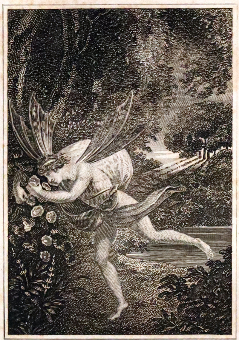 1880 Rare Victorian Book ~ The Poetical Works of John Milton. The Paradise Lost, Paradise Regained, etc. Illustrated.