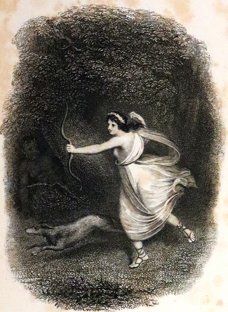 1880 Rare Victorian Book ~ The Poetical Works of John Milton. The Paradise Lost, Paradise Regained, etc. Illustrated.