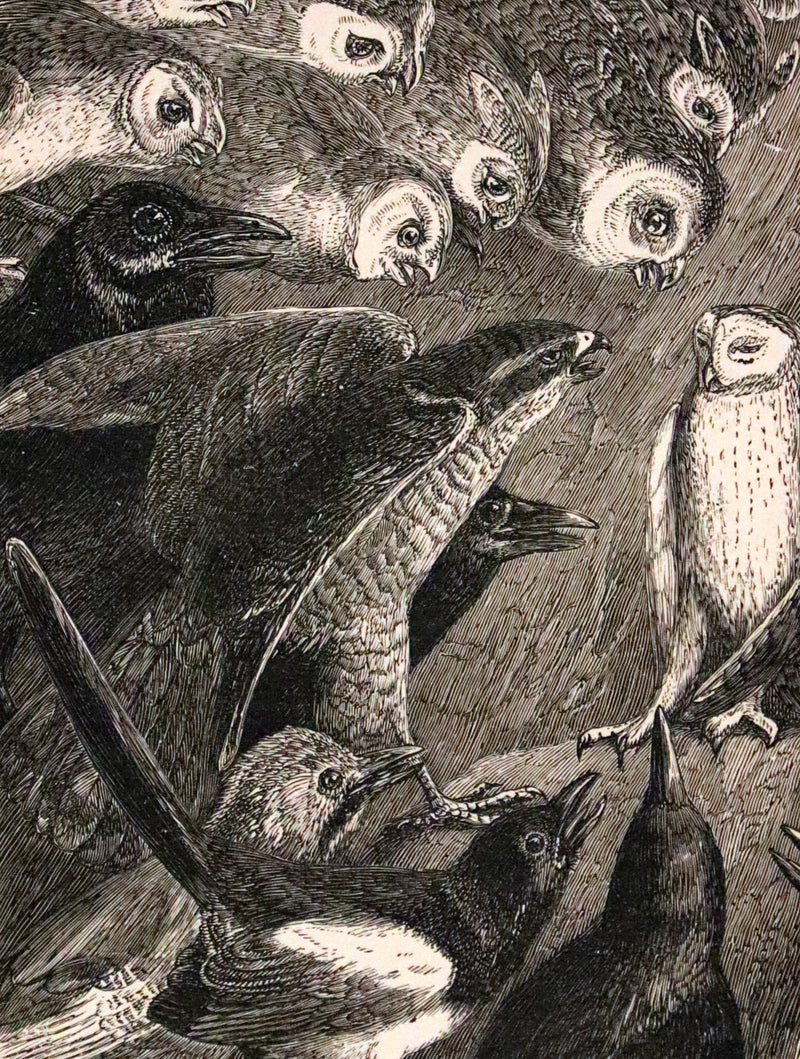 1890 Scarce book - Echoes of an Old Bell And Other Tales of Fairy Lore by Augusta Bethell.