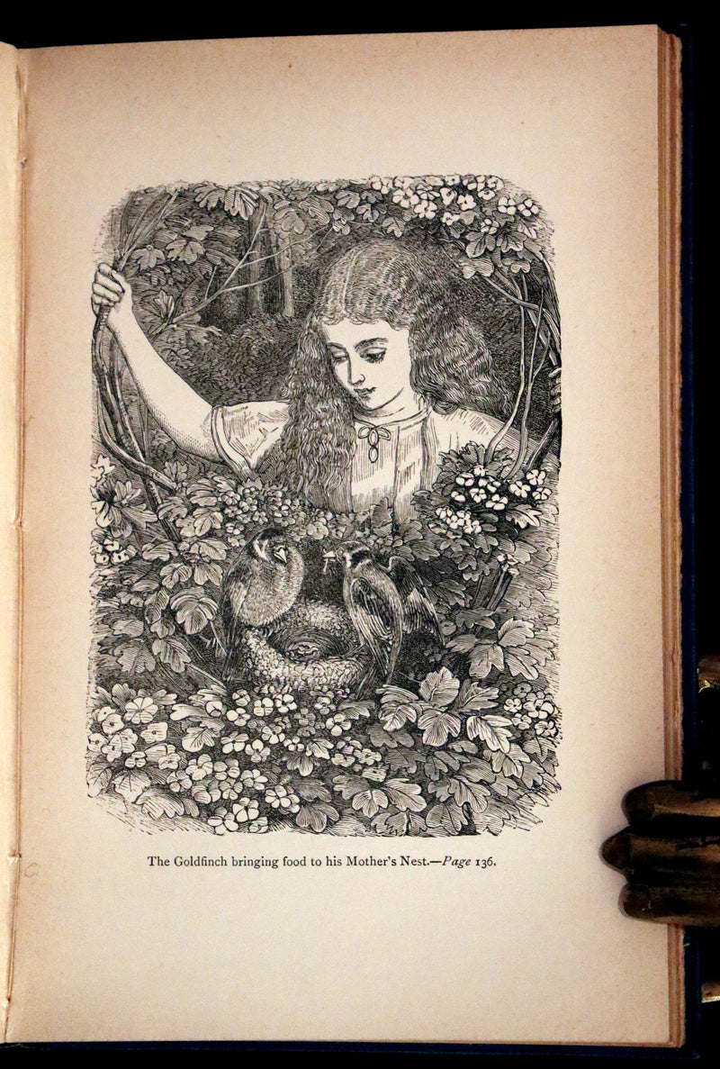 1890 Scarce book - Echoes of an Old Bell And Other Tales of Fairy Lore by Augusta Bethell.