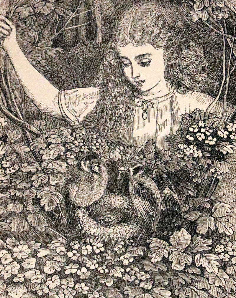 1890 Scarce book - Echoes of an Old Bell And Other Tales of Fairy Lore by Augusta Bethell.