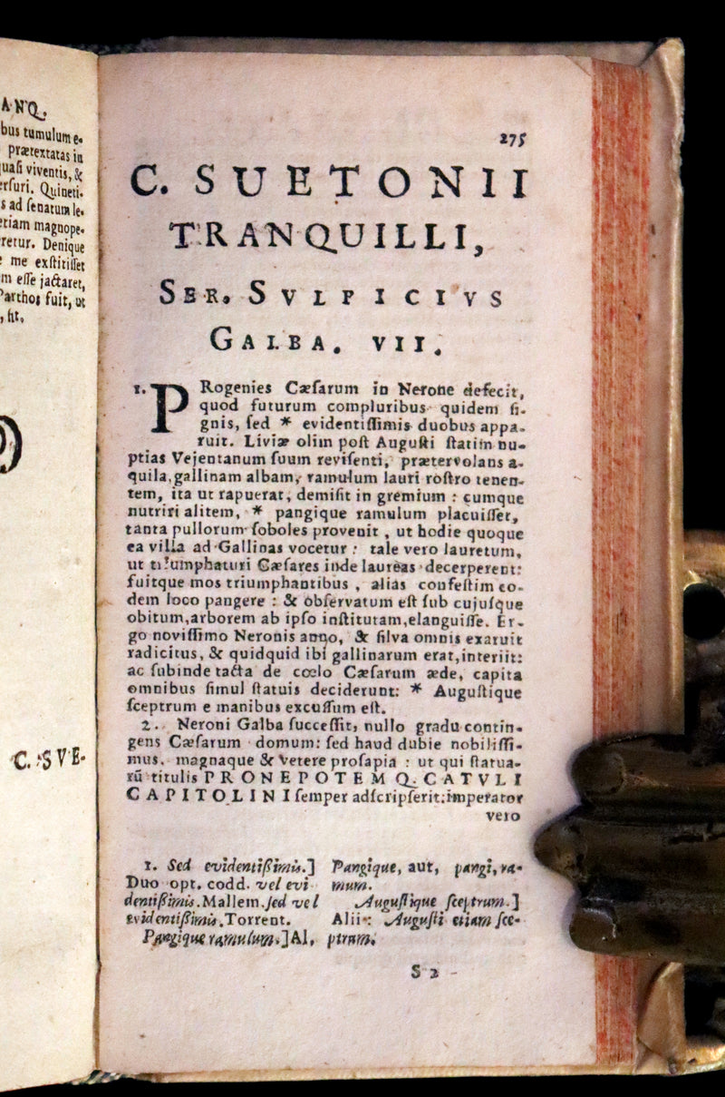 1631 Rare Latin Vellum Book - Lives of the Twelve Caesars & other notes by Suetonius - Cum Notationibus Diversorum.