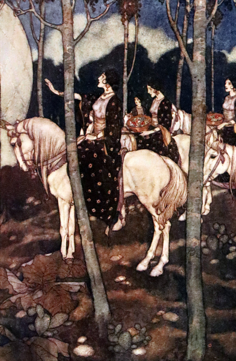 1911 First Edition - Ali Baba and Other Stories from the Arabian Nights by Laurence Housman. Illustrated by Edmund Dulac.