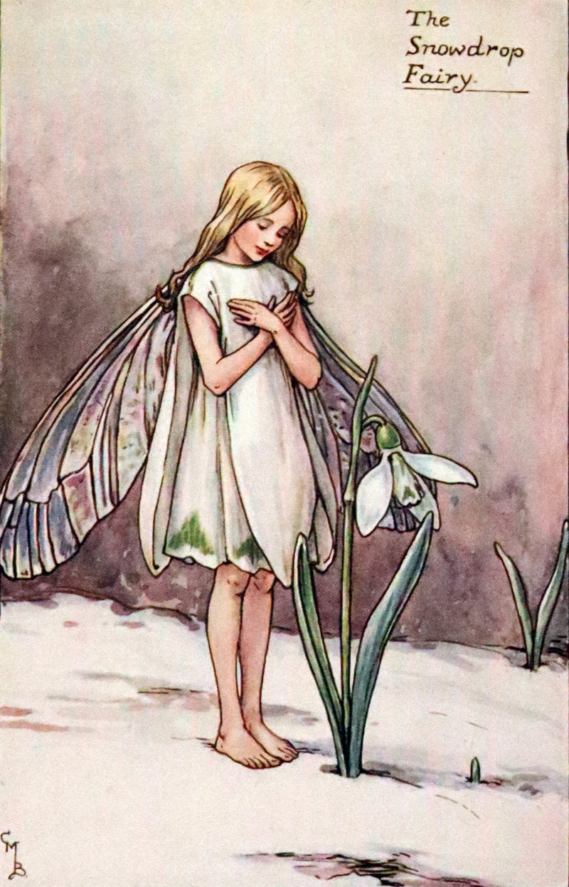 1950 Rare Book - The Book of the Flower Fairies by Cicely Mary Barker.