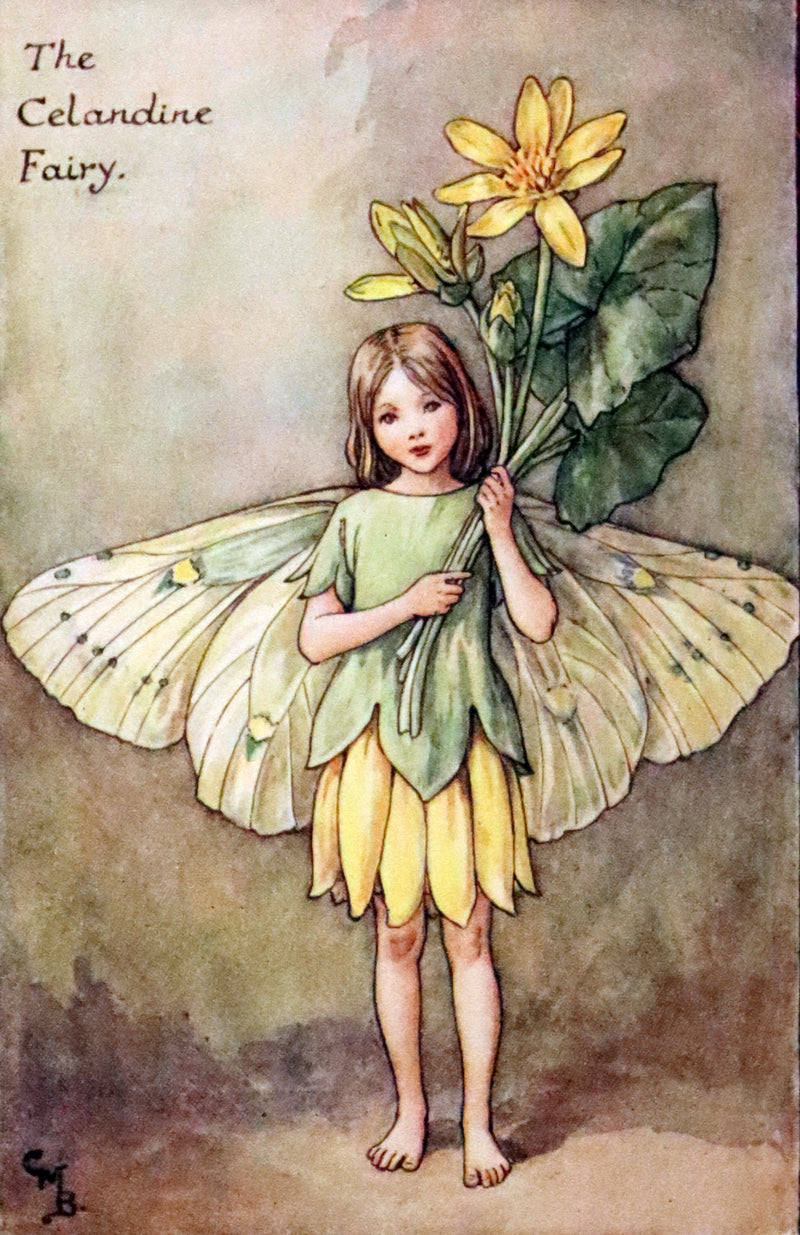 1950 Rare Book - The Book of the Flower Fairies by Cicely Mary Barker.