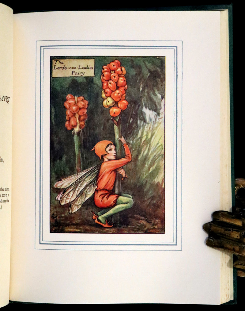 1950 Rare Book - The Book of the Flower Fairies by Cicely Mary Barker.