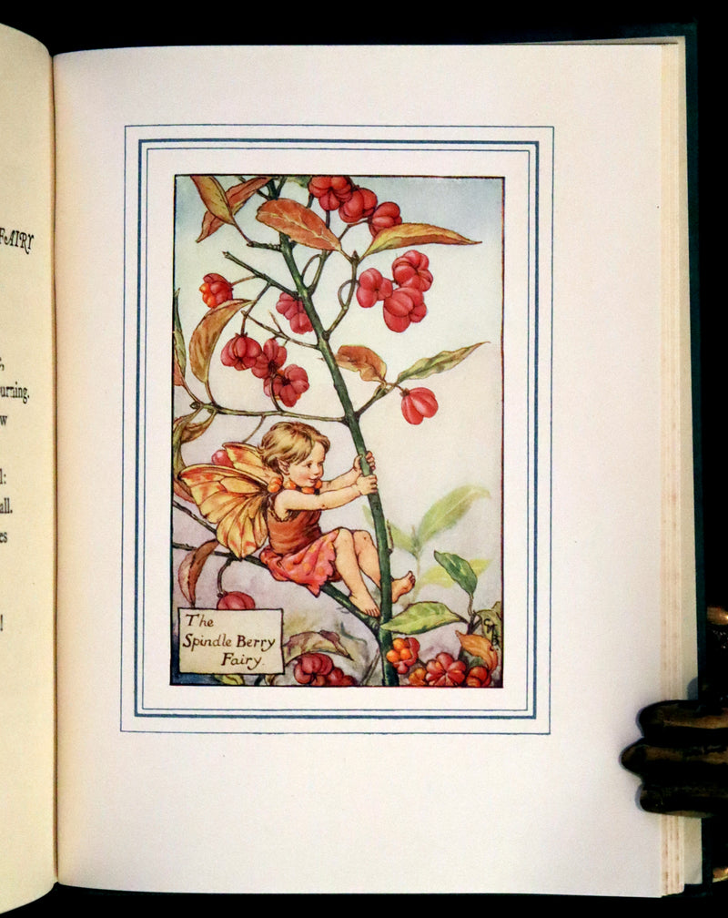 1950 Rare Book - The Book of the Flower Fairies by Cicely Mary Barker.