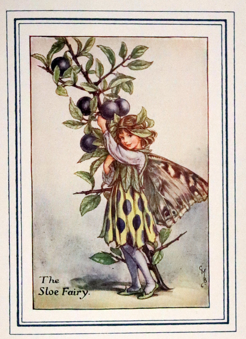 1950 Rare Book - The Book of the Flower Fairies by Cicely Mary Barker.