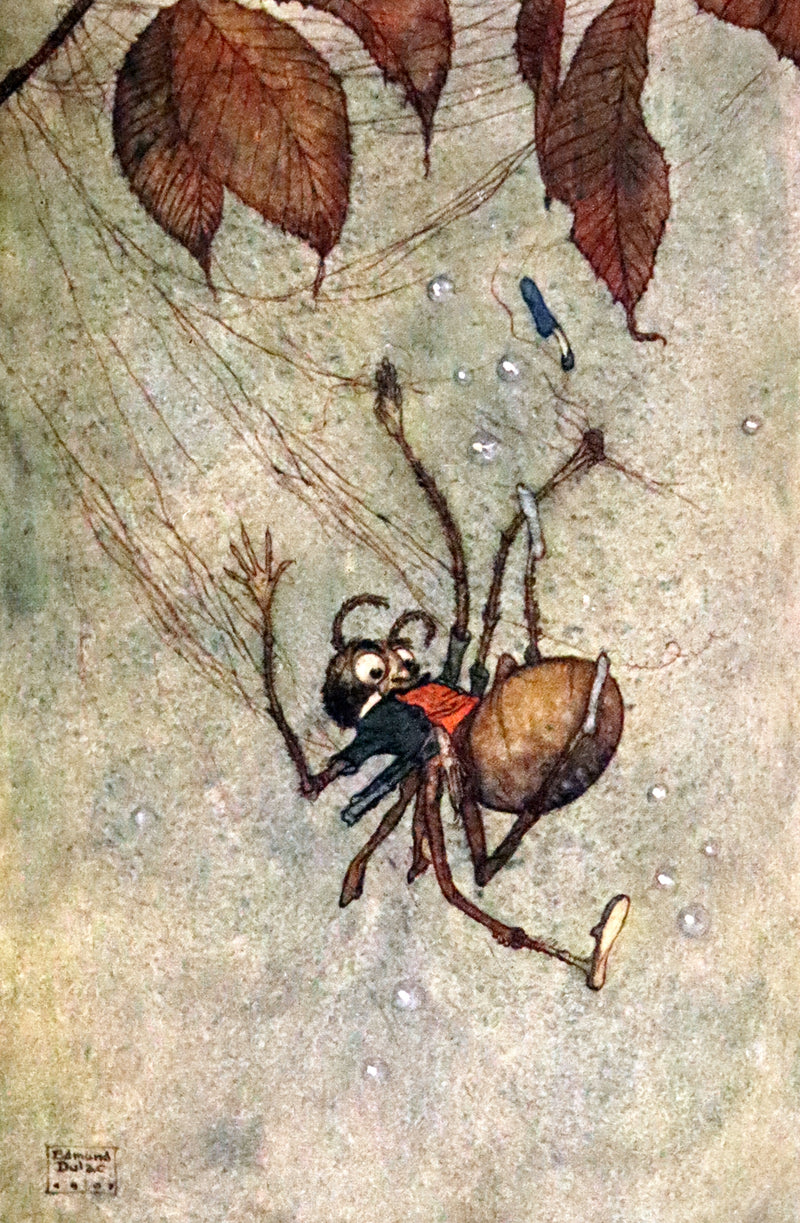 1914 Rare First Edition - My Days With The Fairies illustrated by Edmund Dulac.