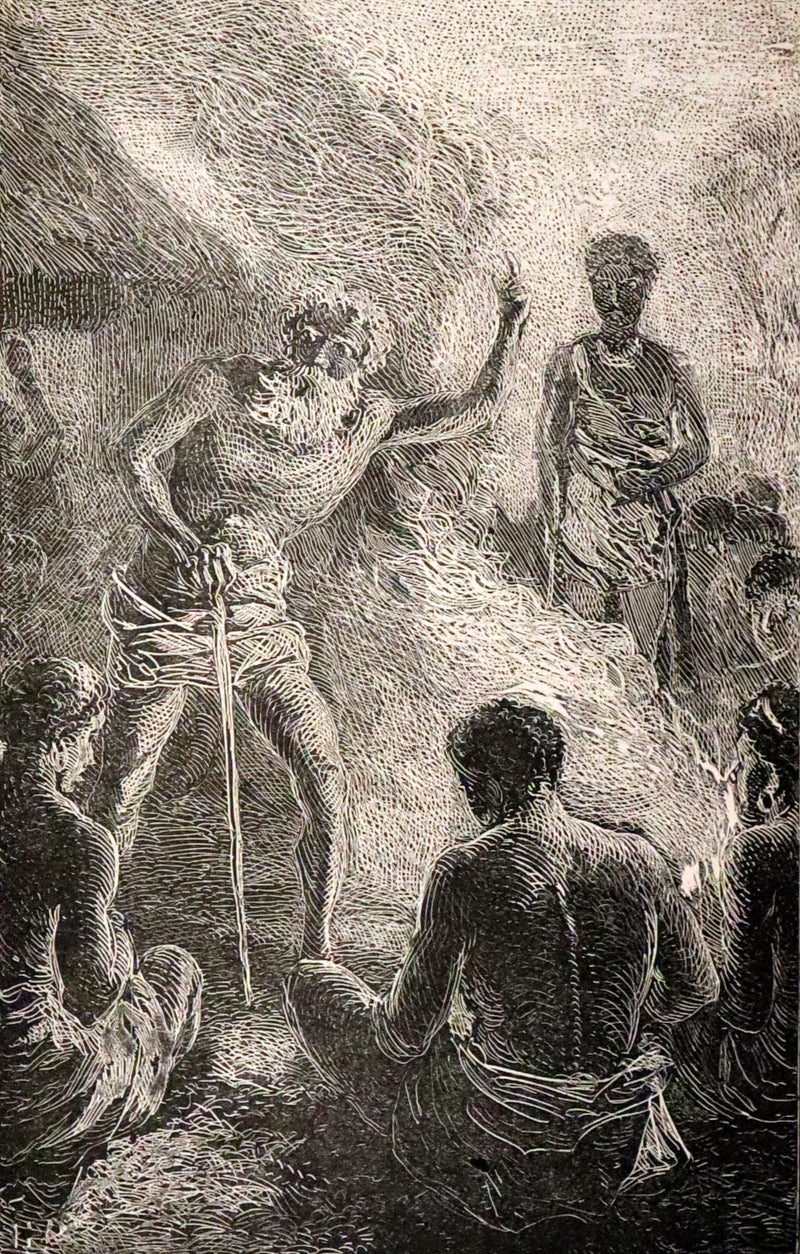 1890 Rare Victorian Book - The Madman and the Pirate by Robert Michael Ballantyne.