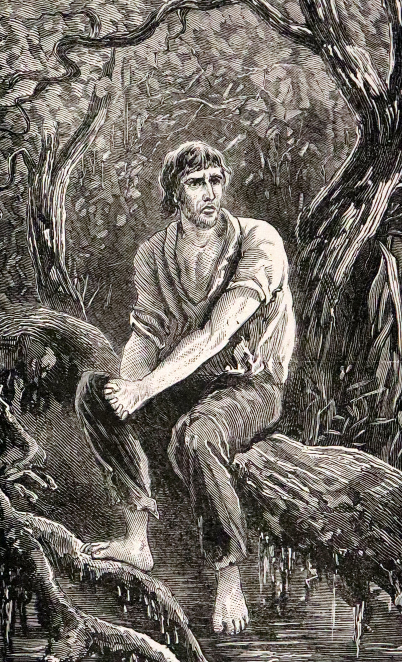 1890 Rare Victorian Book - The Madman and the Pirate by Robert Michael Ballantyne.